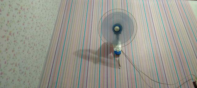 Grosir Murah -wallpaper Sticker Dinding Putih Bunga Mawar Pink Krem Berdaun 10 Meter