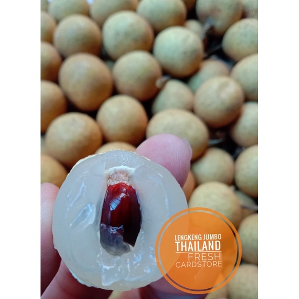 

Buah Longan Lengkeng Mas Jumbo Manis Thailand