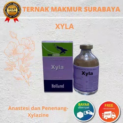 XYLA 50ML-untuk anastesi hewan