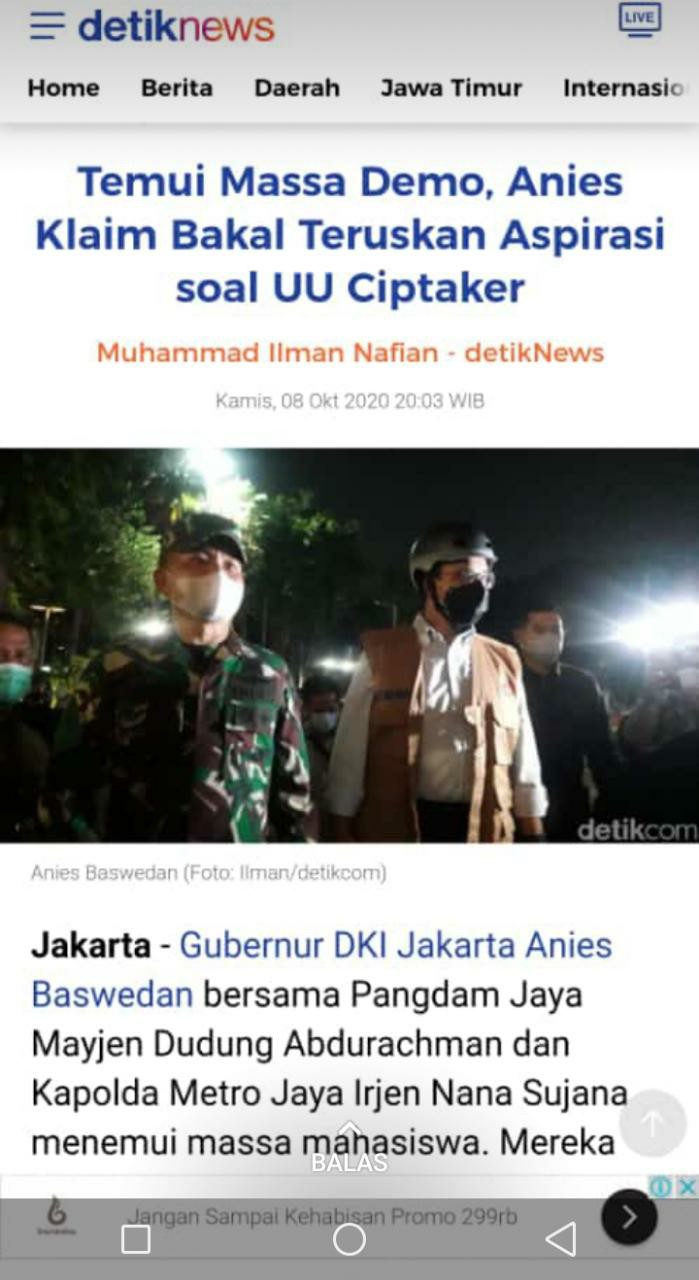 Tanaman Aglonema Dona Carmen