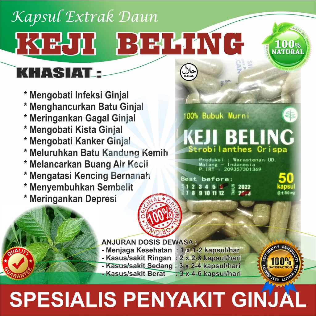 KEJI BELING 50 KAPSUL / SPESIALIS PENYAKIT GINJAL