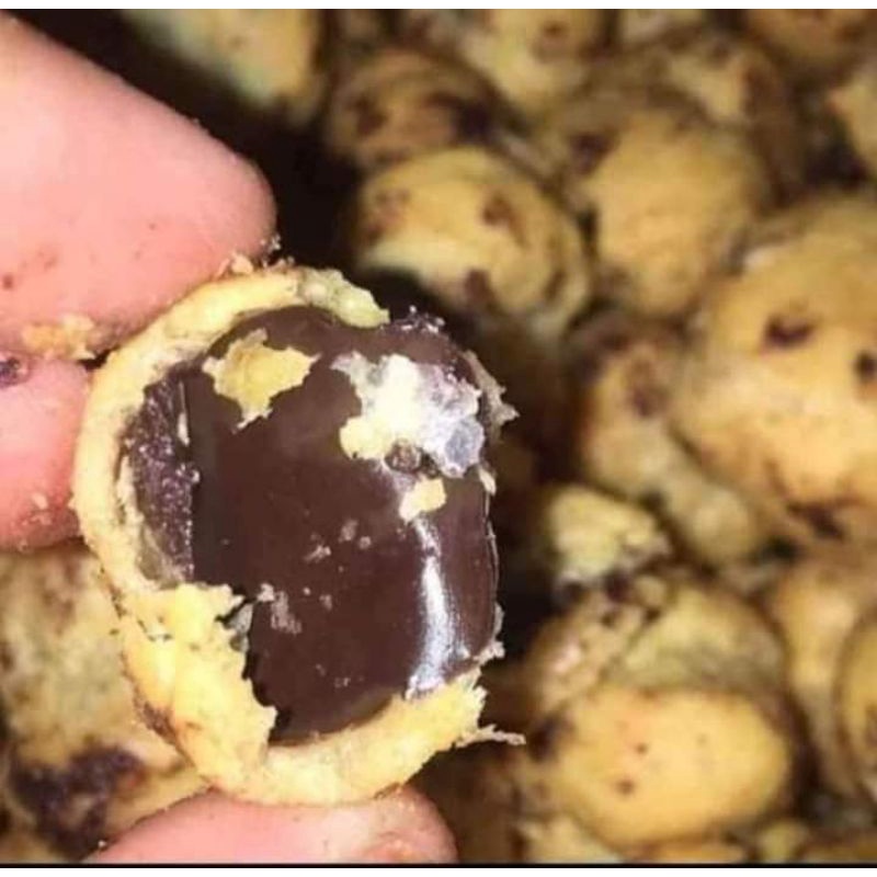 

DuoSus (sus kering rasa coklat) coklat lumer kemasan ekonomis 1kg ½kg