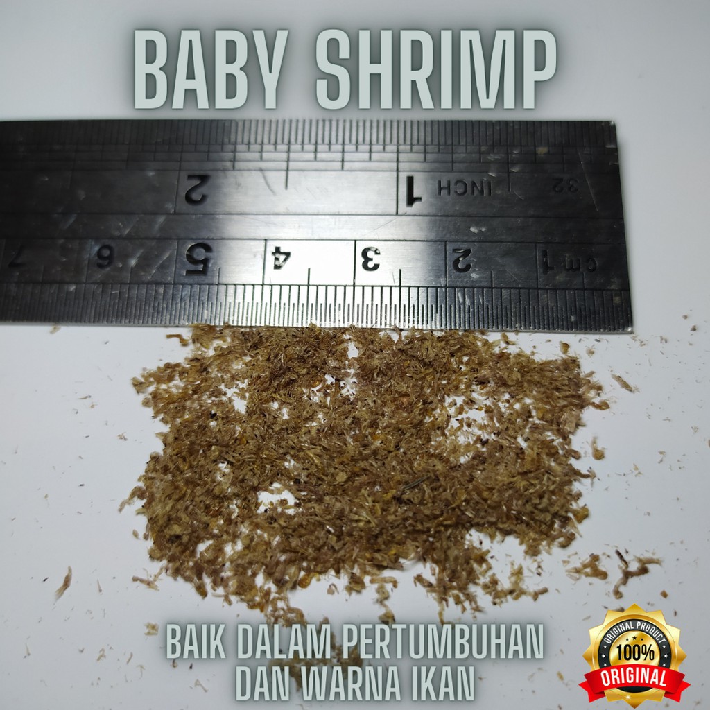 Baby shrimp 5gr / mini shrimp / pakan cupang dan guppy 5gr