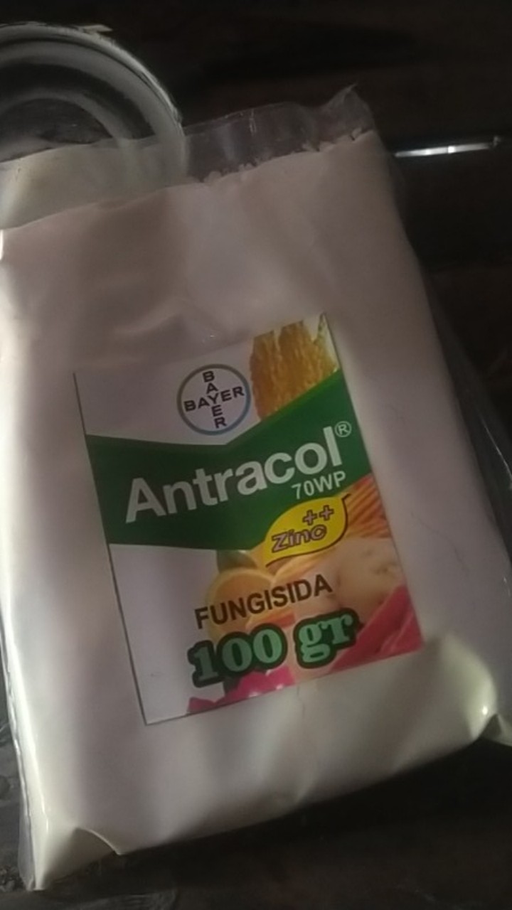Fungisida Antracol 70 Wp - Kemasan 100 Gram (repacking)