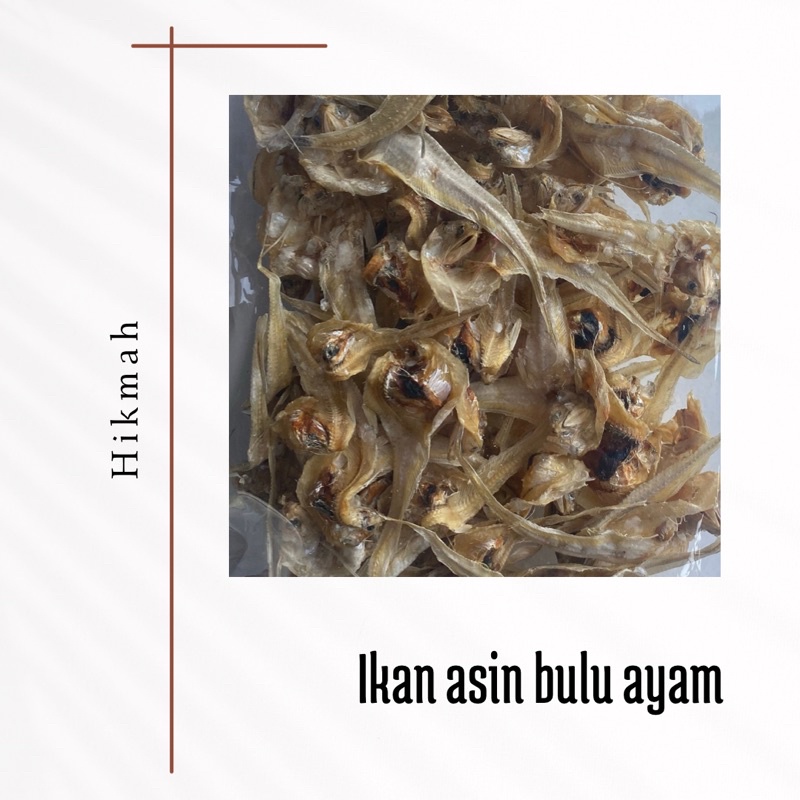 

Ikan asin bulu ayam