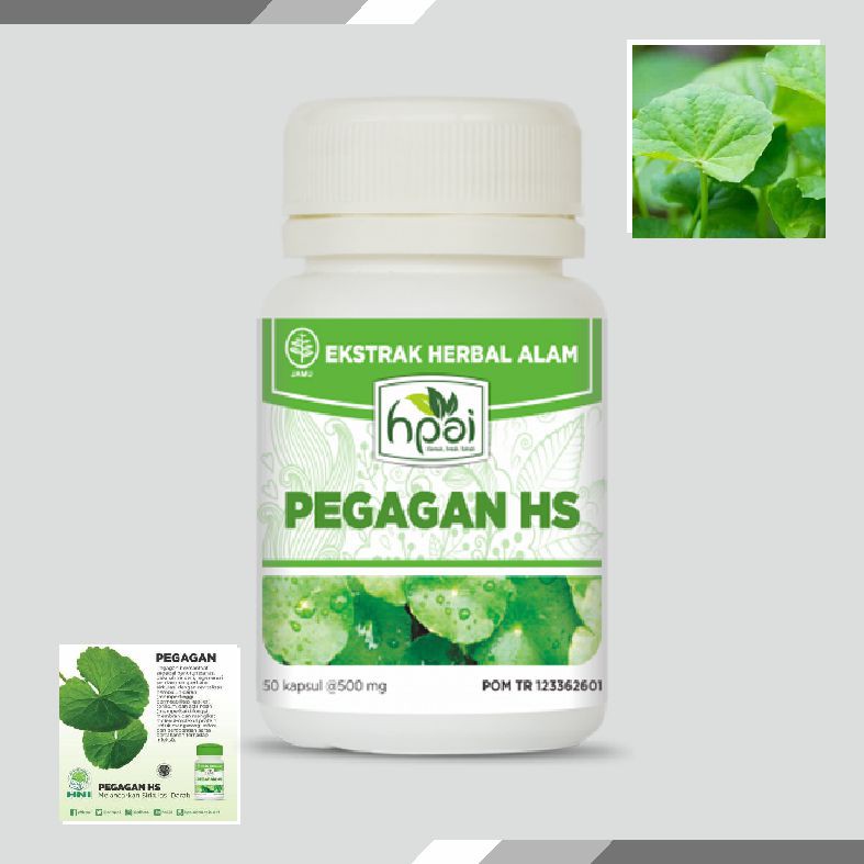 HNI - PEGAGAN HS