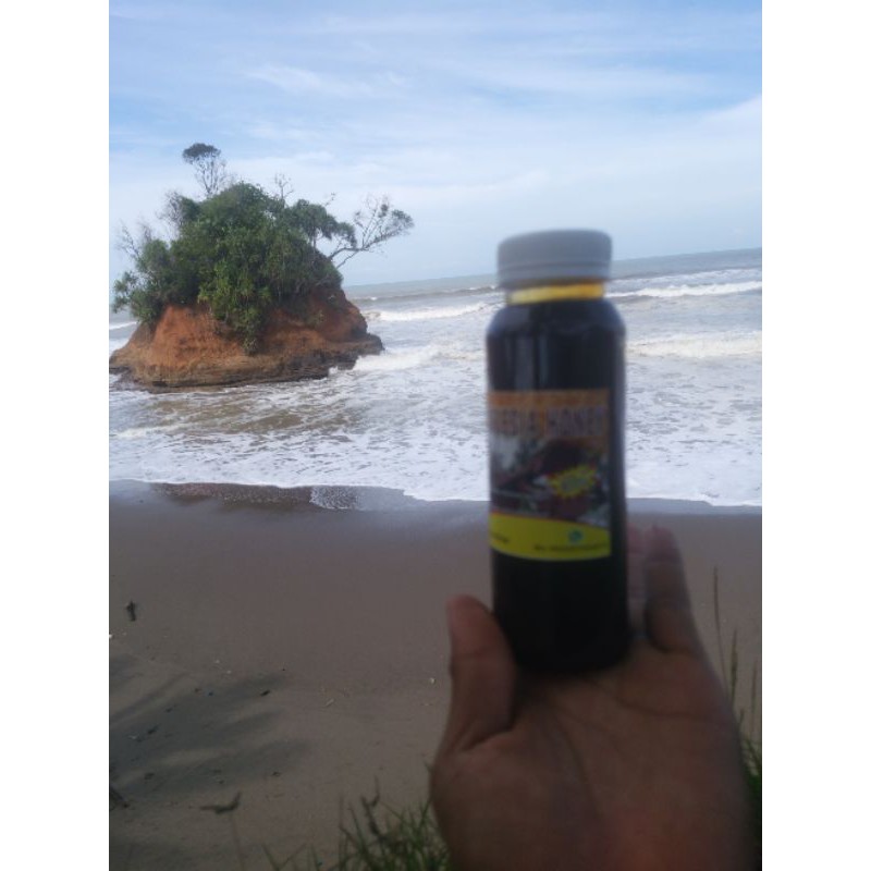 

madu hitam pahit alami