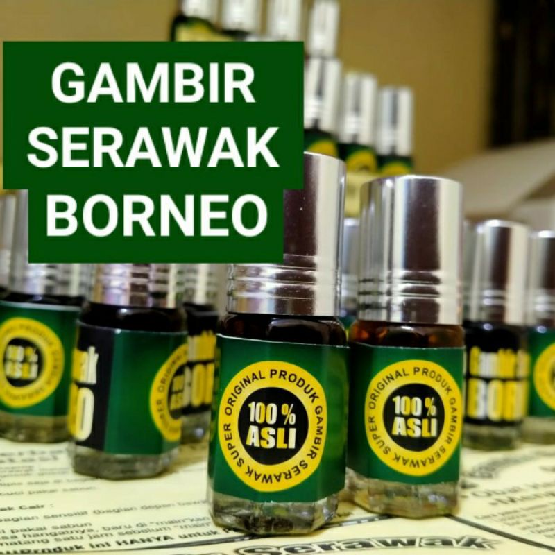 Gambir Serawak Borneo obat oles untuk tahan lama