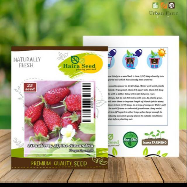Benih/Bibit buah strawbery alpin alexandria