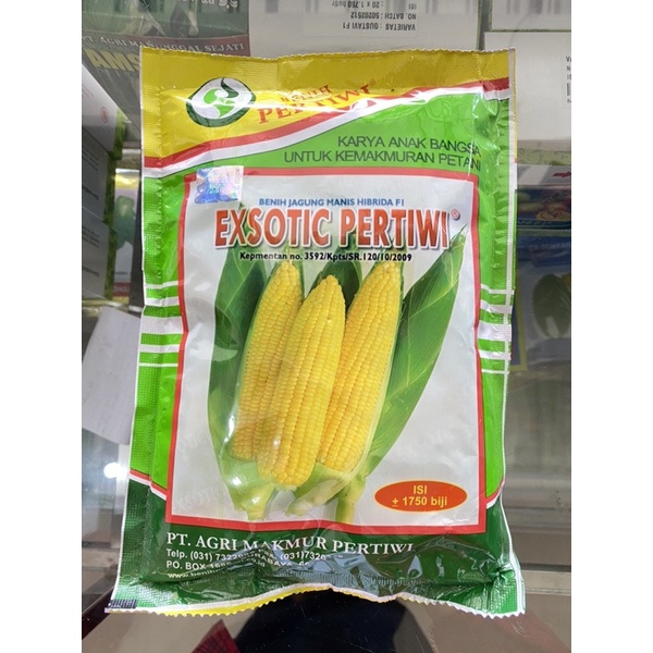 Benih/Bibit Jagung Manis Exsotic Pertiwi