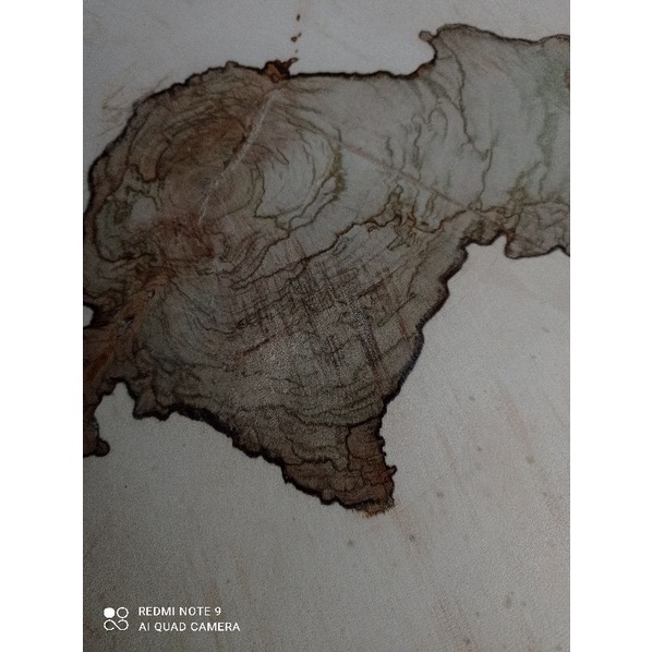 talenan kayu asem bulat 50-60cm/Talenan kayu jumbo