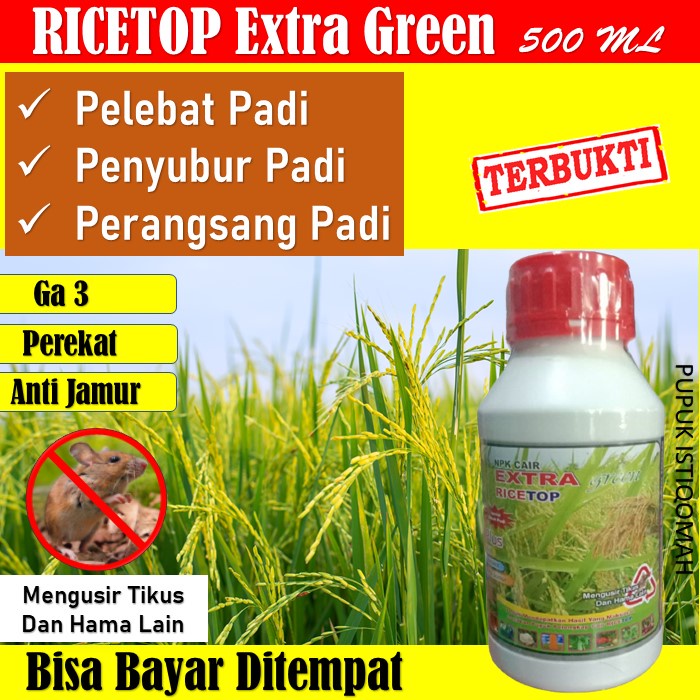 Pupuk Penyubur Padi Ricetop Extra Green 500 ML - Ricetop Pupuk Pelebat Padi Paling AMPUH - Ricetop P