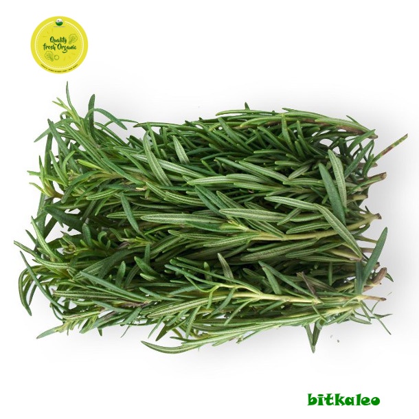 

Rosemary Organik 50 gr (PO)