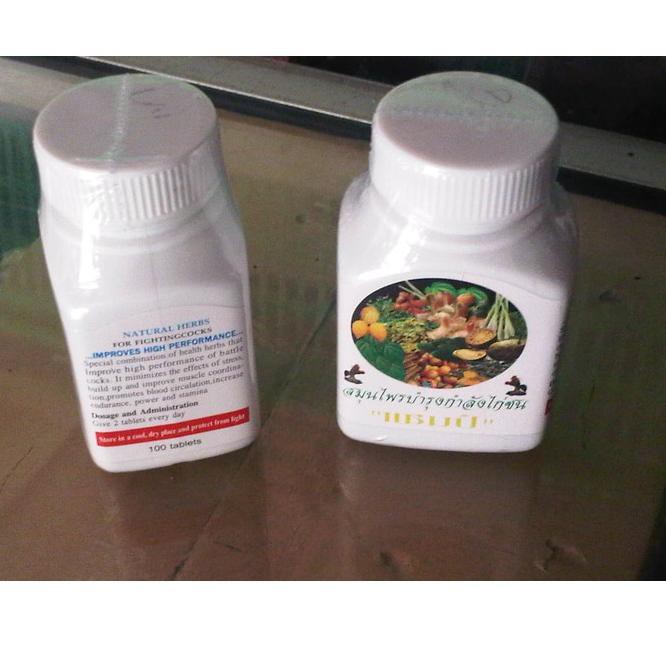 

TERLARIS kamplang buat stamina ayam jago thailan