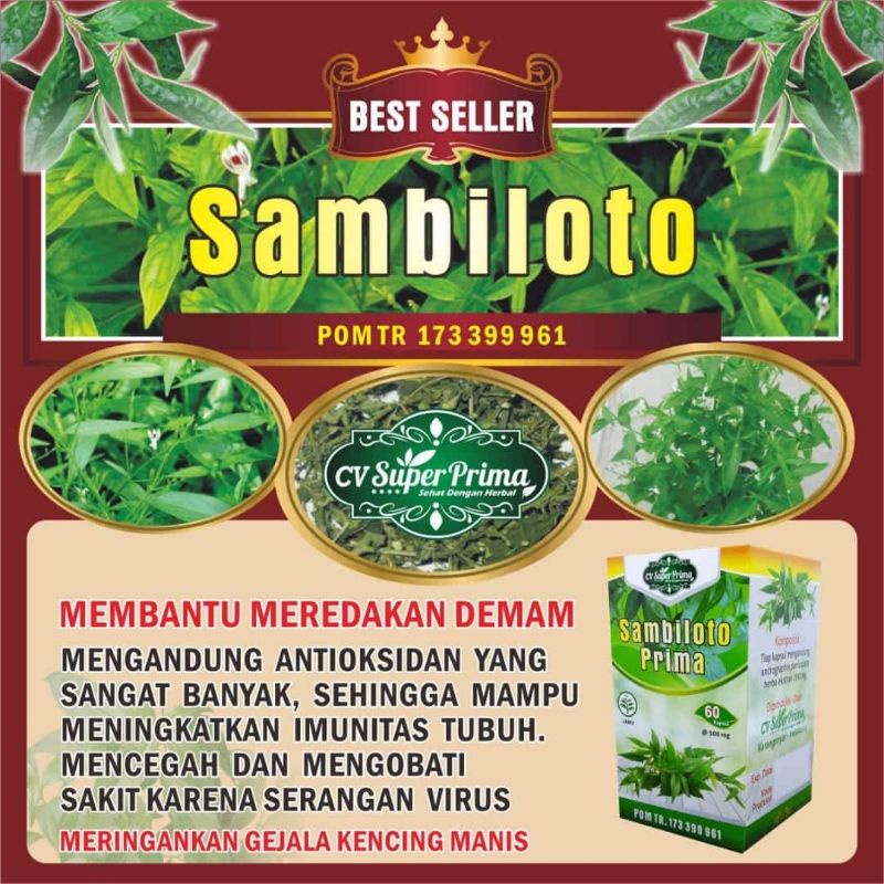 HERBAL EXTRAK SAMBILOTO 60 /MENURUNKAN DEMAM/MENGUATKAN KEKEBALAN TUBUH