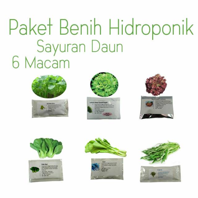Paket Benih Hidroponik “Sayur Daun”