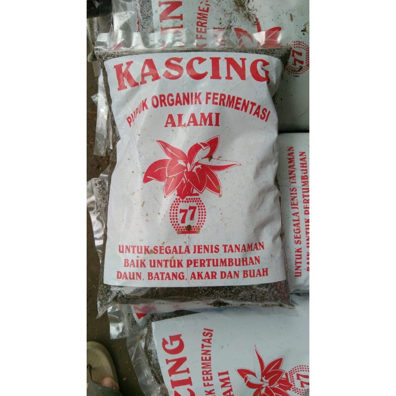 pupuk organik / pupuk kascing