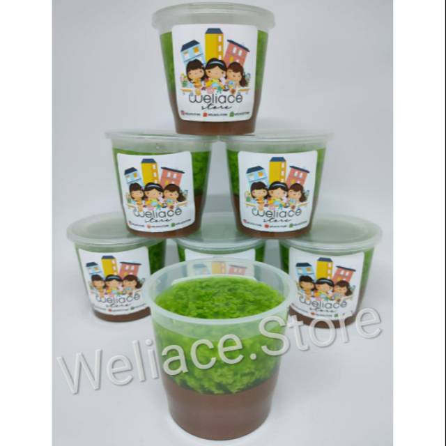 

Pudding Lumut Coklat (9 Cup)