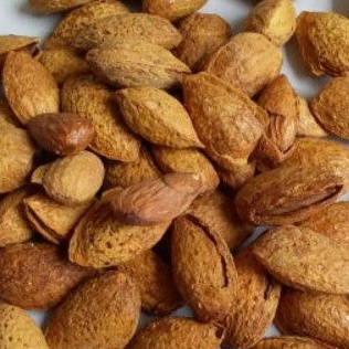 

kacang almond panggang kulit 1kg
