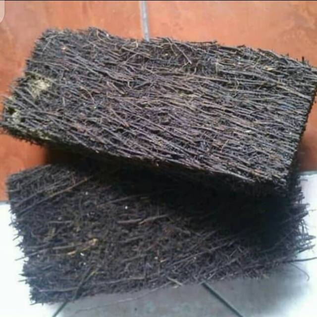 ( BISA COD ) Akar pakis | media tanam akar pakis