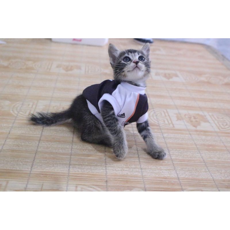 Kaos Jersey bola Juventus black white untuk kucing dan anjing / baju bola anjing kucing size S-XL