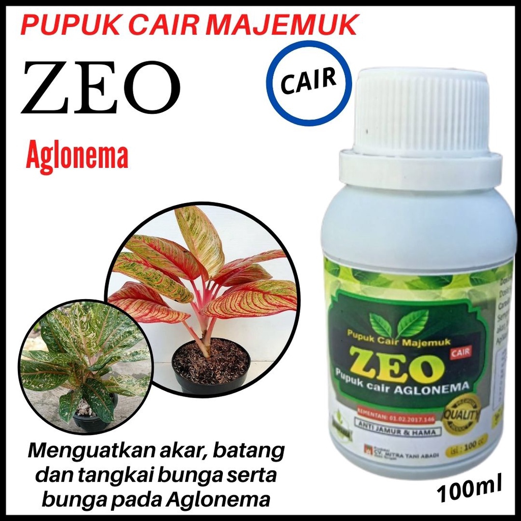 PUPUK BUNGA AGLONEMA PERANGSANG TUNAS DAN PERANGSANG BUNGA MEKAR HURIP 100 ml "ZEO CAIR"