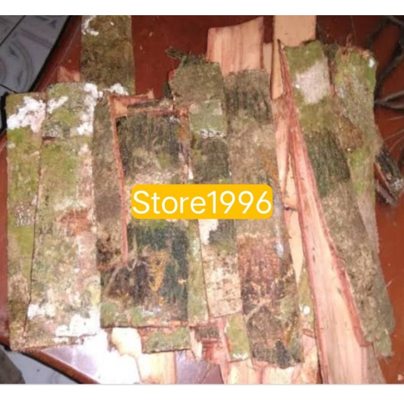 

kulit pohon jengkol segar 500 gram