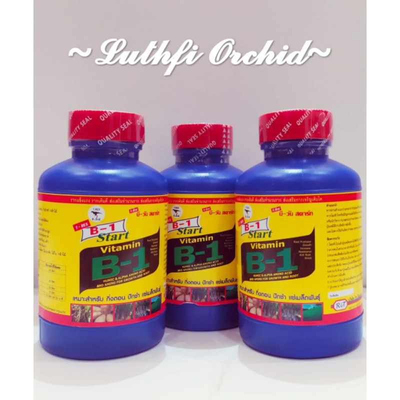 B1 thailand 100ml(ORI kemasan pabrik)