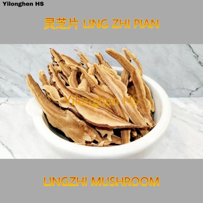 

Ling Zhi Pian 100 gram Jamur Lingzhi Reishi Mushroom Ling Chih