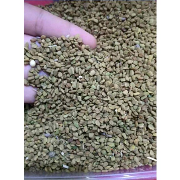 

Hulbah menyuburkan pria uk 250gram