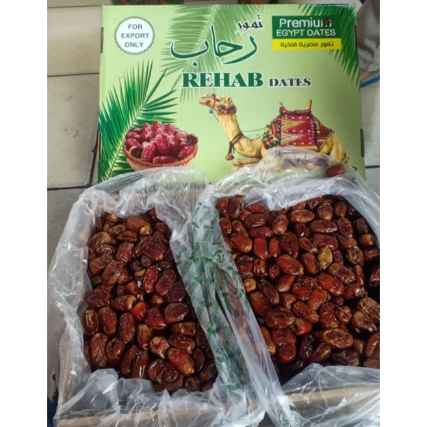 

Kurma Mesir 10kg / Kurma Mesir Golden valley / Rehab