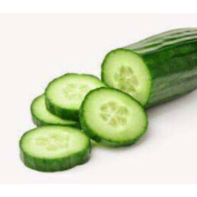 

Sayur Mentimun BESAR BABY KYURI ZUCCHINI / 500gr