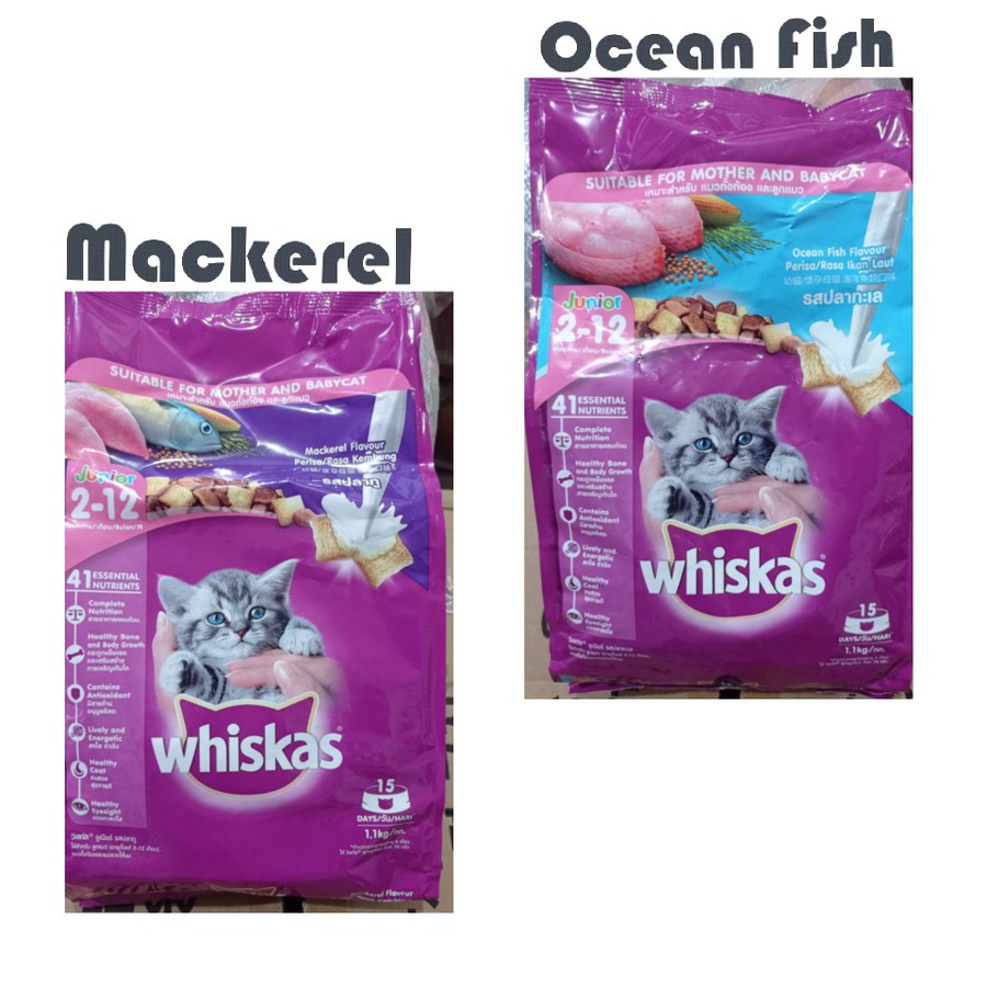 Whiskas dry junior 1,1 kg Freshpack makanan kucing 1,1kg