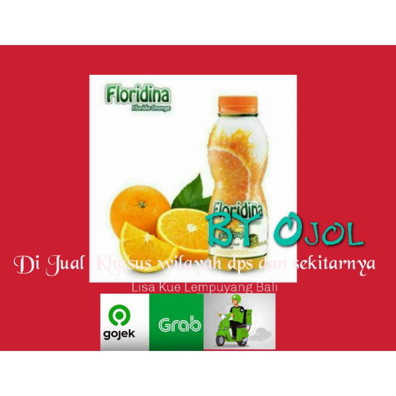 

Floridina Florida Orange 350 ml Lisa kue Lempuyang Bali