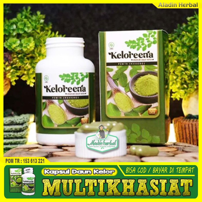 COD - Obat impotensi Diabetes - Inpoten, Disfungsi Ereksi, Ejakulasi Dini, Lemah Syahwat - Keloreena-2