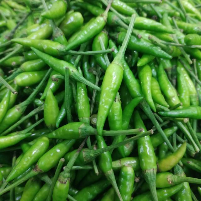 

Cabai Rawit Hijau 100 gram / 250 gram