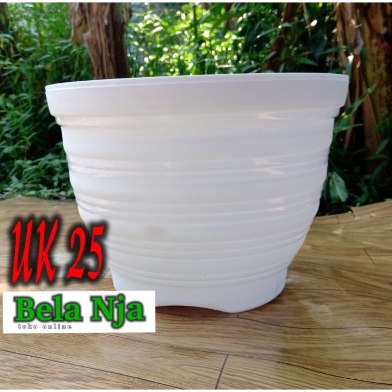 pot bunga putih,Pot Tawon GOLDEN HONEY BEE UK 25