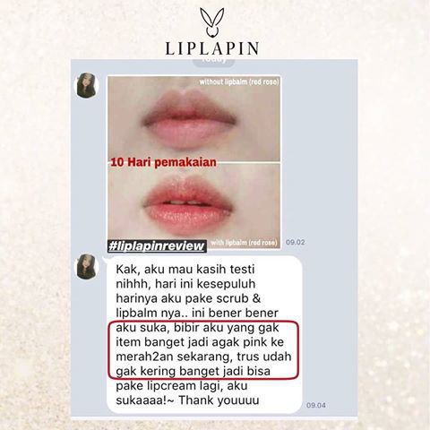 Liplapin Lipbalm Tinted ORIGINAL BPOM KEMASAN BARU