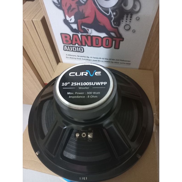 speaker curve10 inch woofer