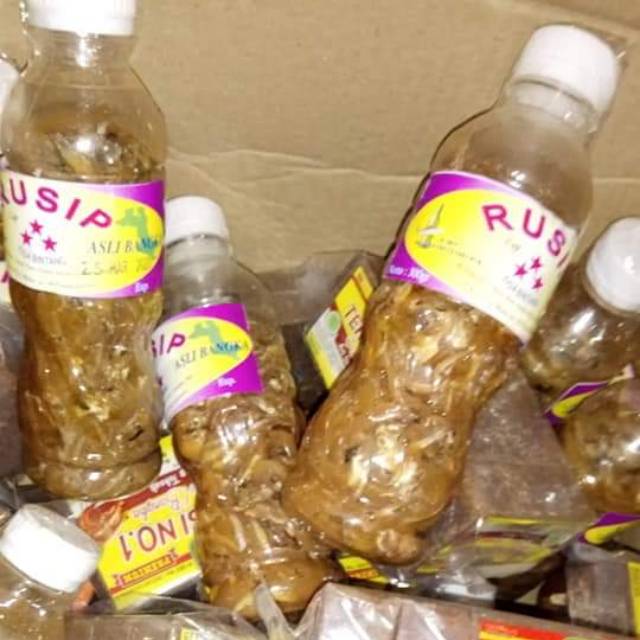 

Rusip Ikan Asli Bangka