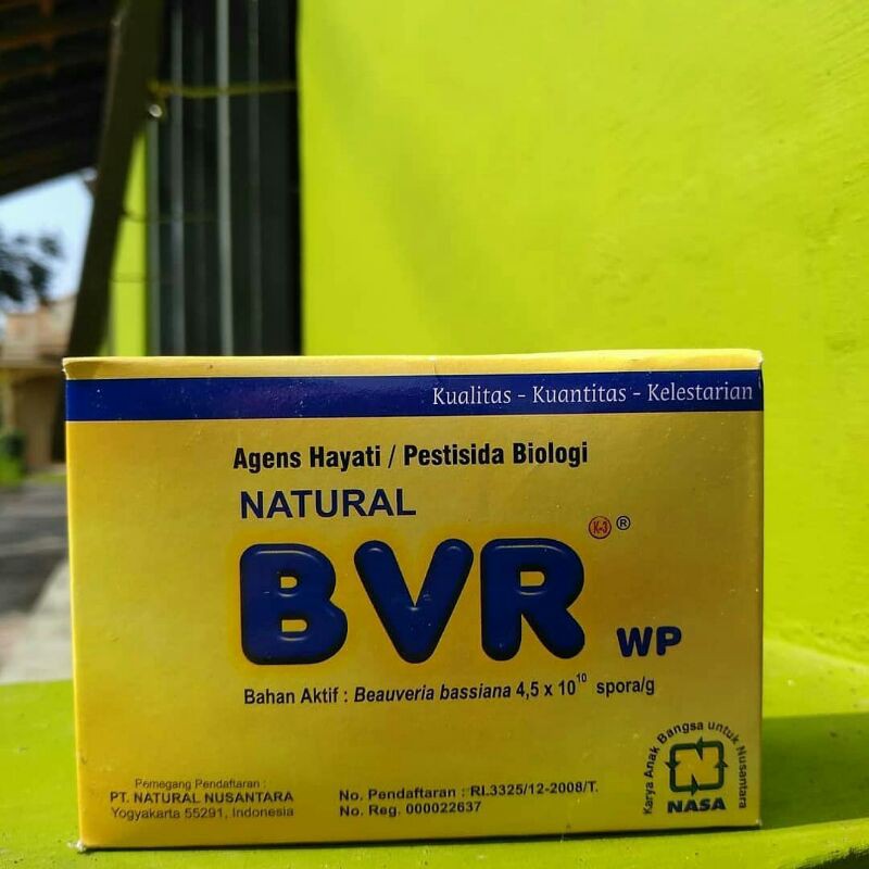 BVR, obat hama nasa
