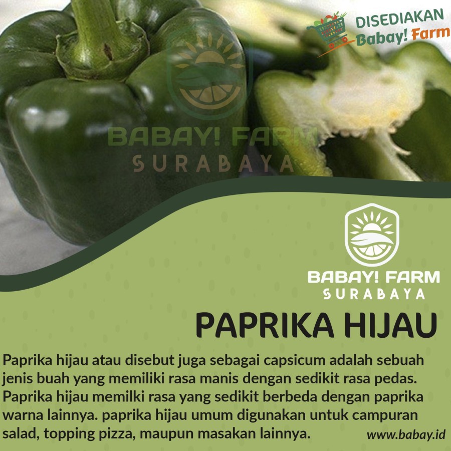 

Paprika Hijau