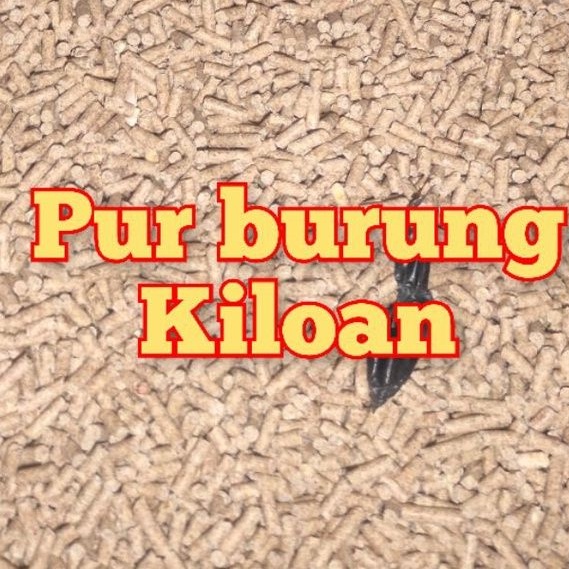 PUR BURUNG KILOAN PAKAN BURUNG WARNA COKLAT VOER JALAK BEO TRUCUK DLL