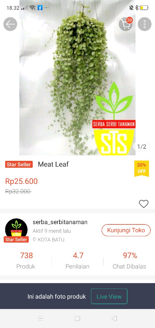 Meat Leaf