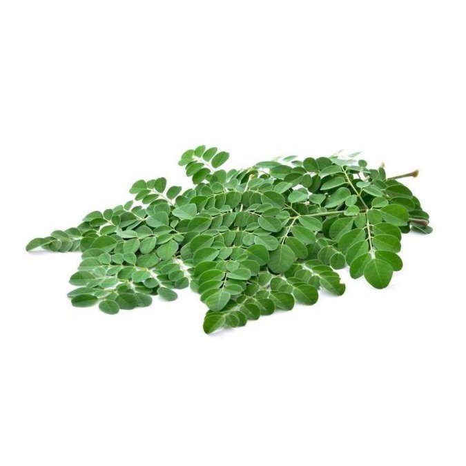 

Daun KELOR MORINGA ORGANIK segar Papapangan - 150 gram