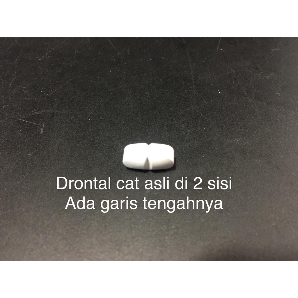 Obat Cacing Drontal Cat Buyer per Pcs/Tablet