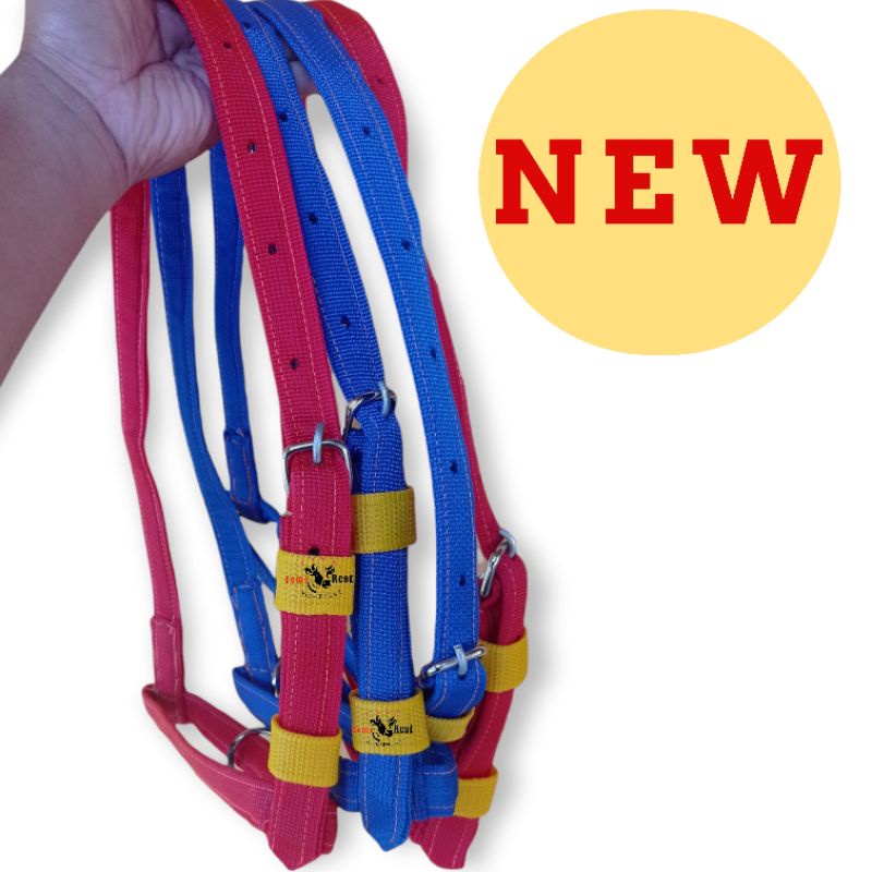 HEAD HALTER IKAT KEPALA BRANGUS BACOK SAPI, KUDA, KERBAU ORIGINAL(ORI) LENGKAP.