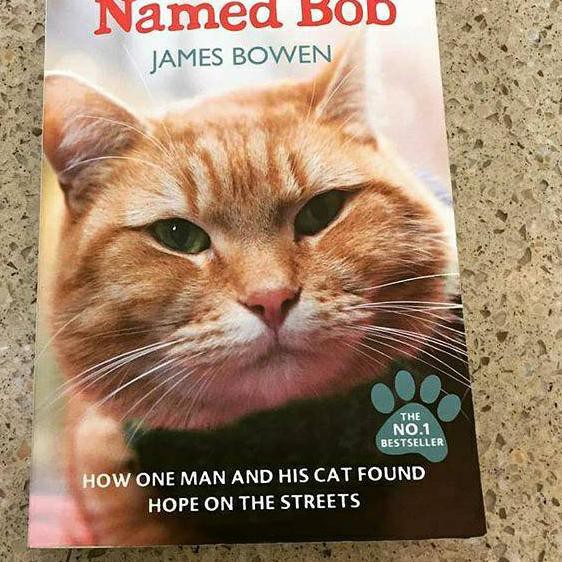 

-Termurah- A street cat named bob - Paling Bagus