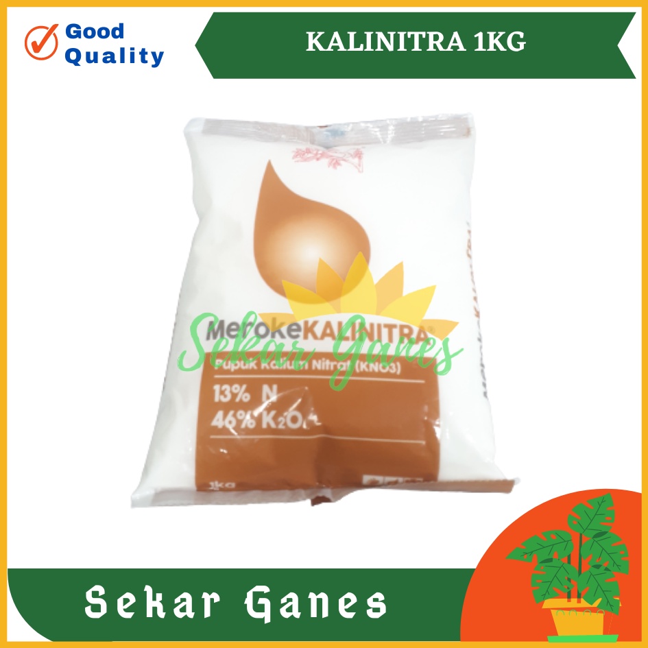 Ori Meroke Kalinitra 1 Kg Pupuk Kristal Kno3 Putih Kalinitra Meroke Kalium Nitrat Hidroponik Grade