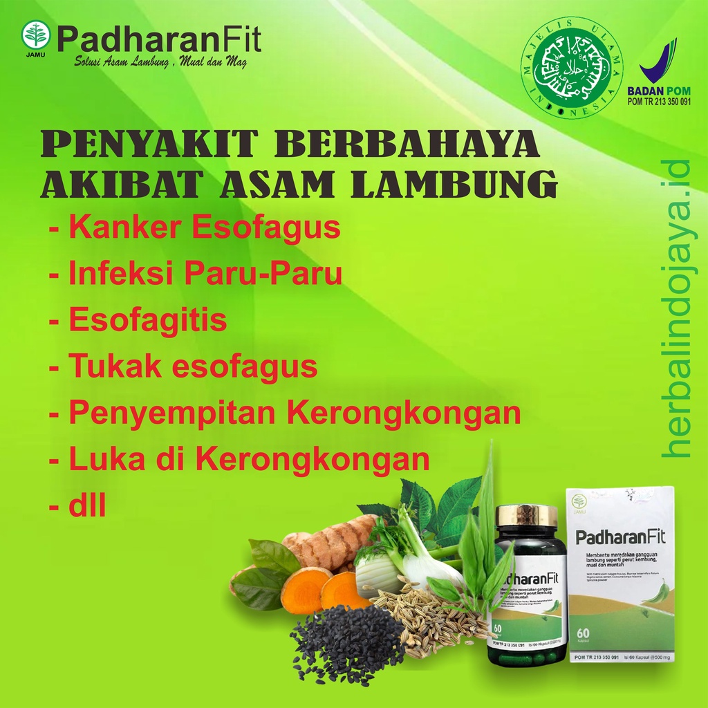 PADHARANFIT | HERBAL ALAMI ATASI ASAM LAMBUNG MUAL DAN MAG | OBAT HERBAL ASAM LAMBUNG | ATASI MUAL | PADHARAN FIT | PADHARANFIT-4